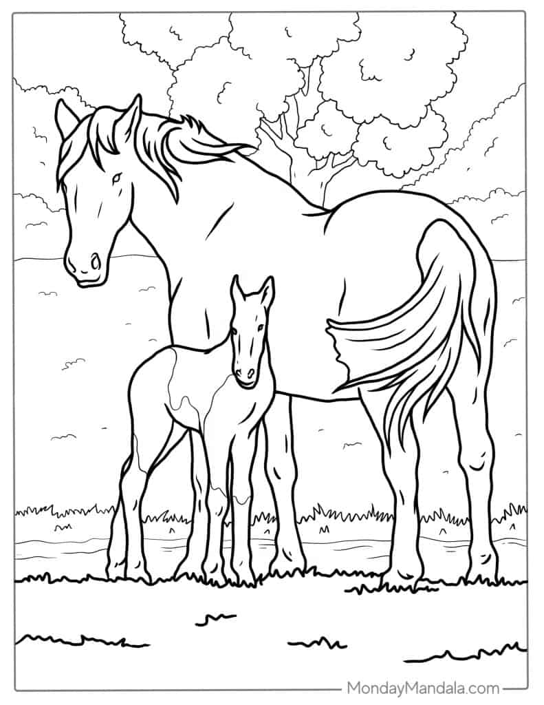 Horse and foal standing in a field line drawing