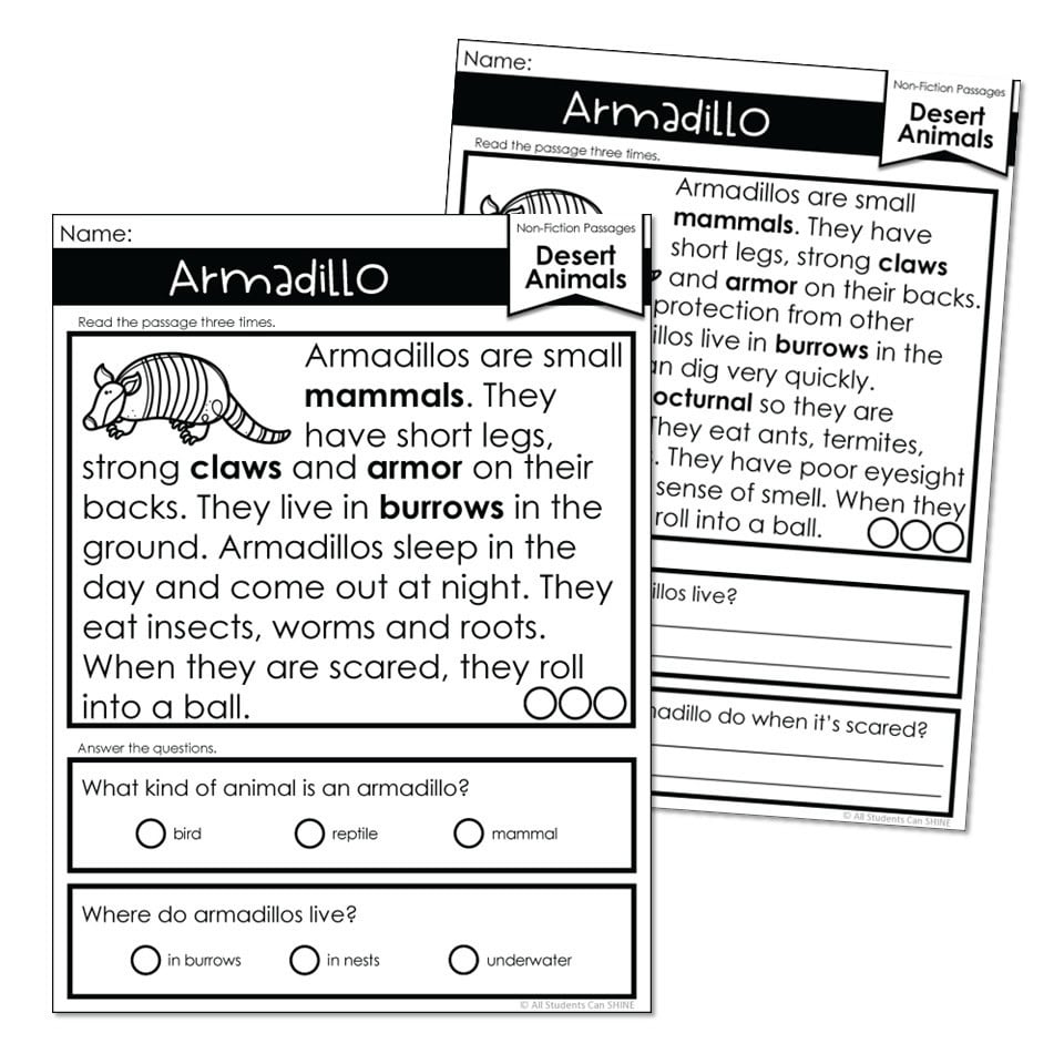 Two armadillo reading comprehension worksheets overlapping