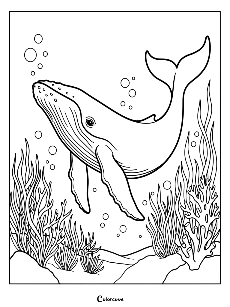 Black-and-white coloring page of a humpback whale underwater