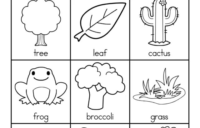 Green vocabulary worksheet with nine labeled drawings