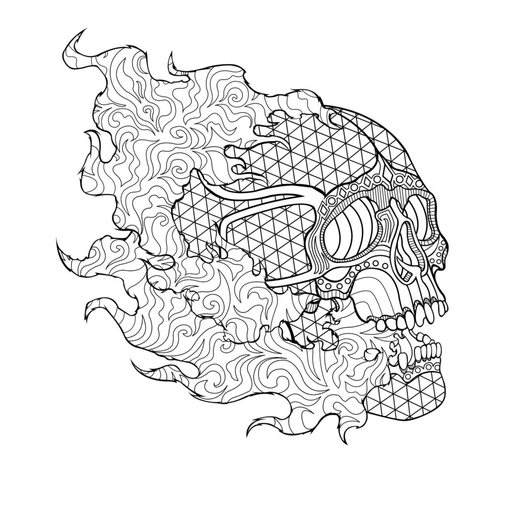 Intricate patterned skull illustration on white background