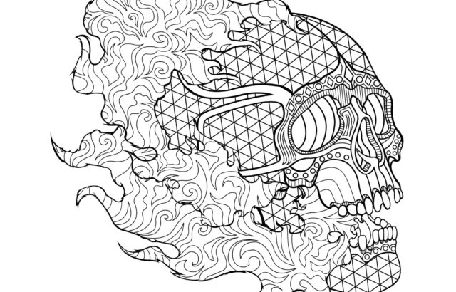 Intricate patterned skull illustration on white background