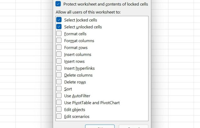 Excel Protect Sheet dialog over spreadsheet grid