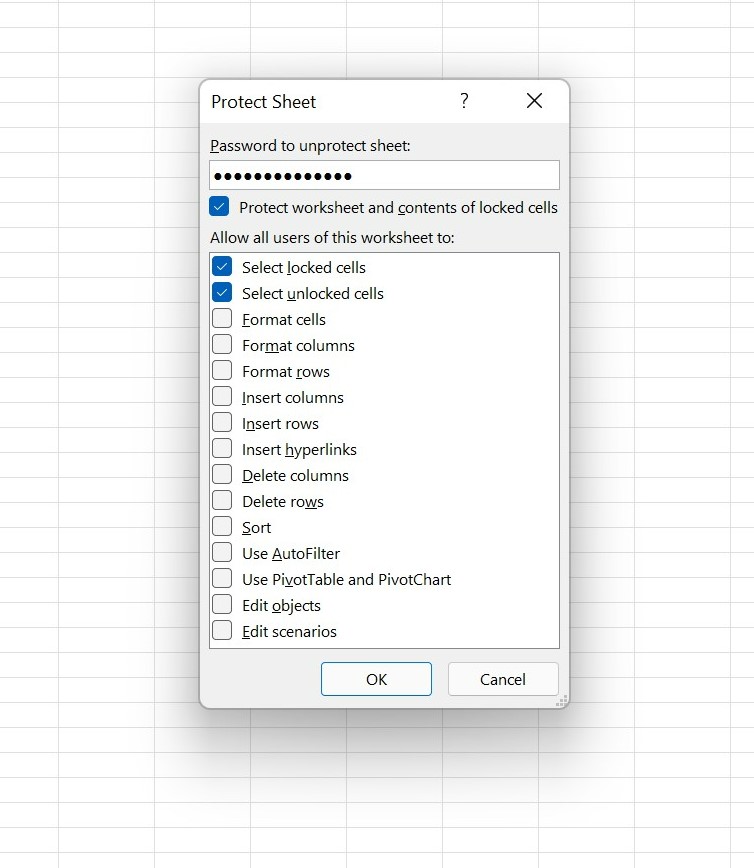 Excel Protect Sheet dialog over spreadsheet grid