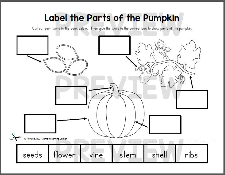 Pumpkin parts worksheet with blanks and word bank
