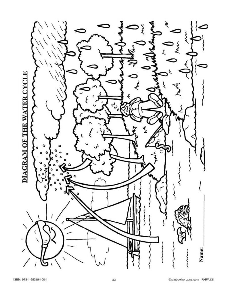 Black-and-white water cycle diagram with sun, clouds, rain, trees