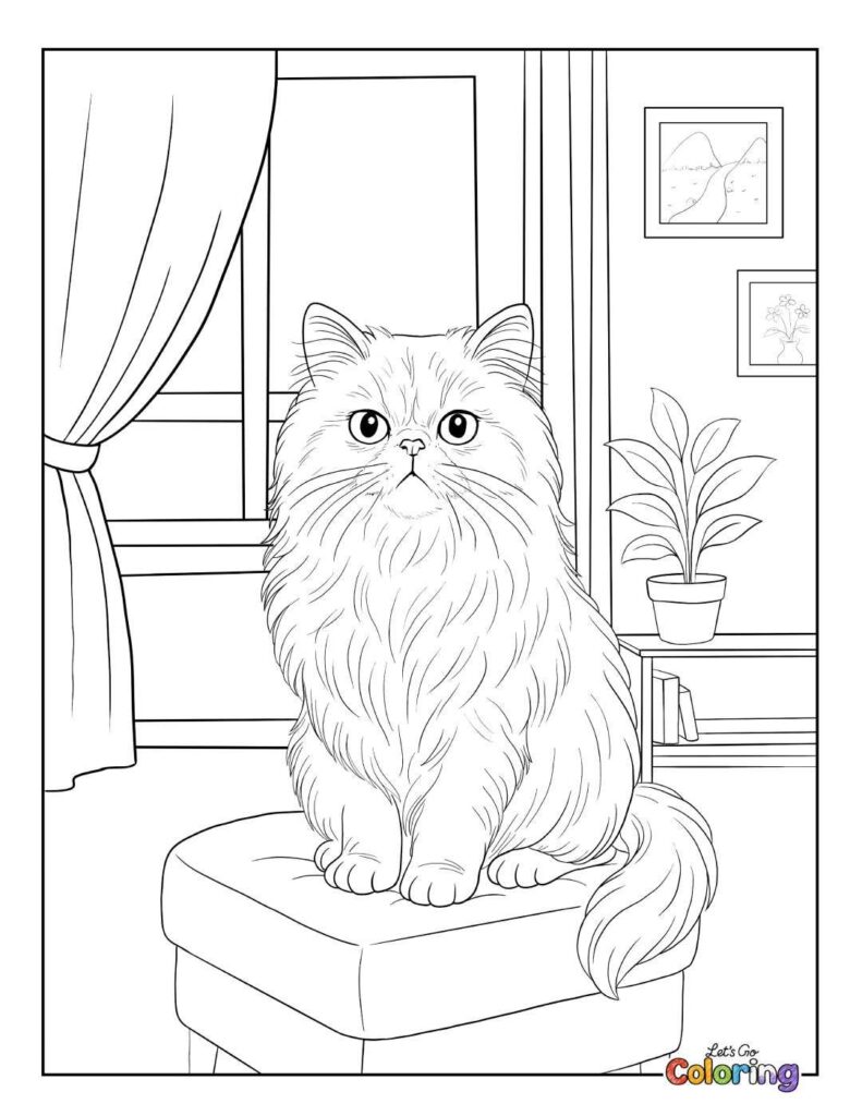 Fluffy cat sitting on stool in room