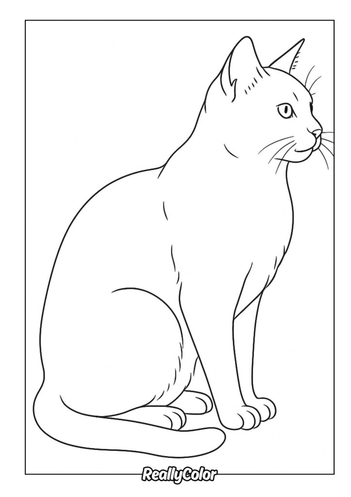 Line drawing of a sitting cat in profile