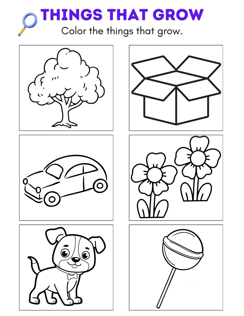 Things that grow coloring worksheet with six drawings