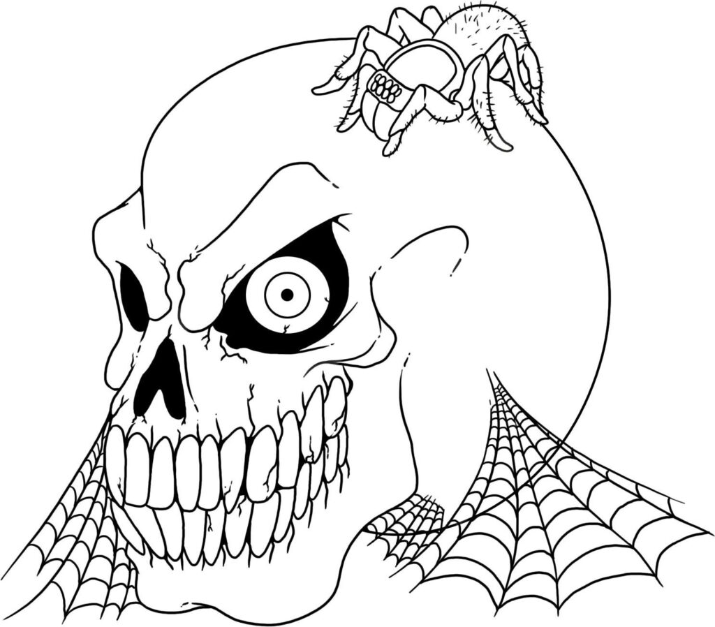 Skull with exposed teeth, spider perched on top, spiderweb extending.