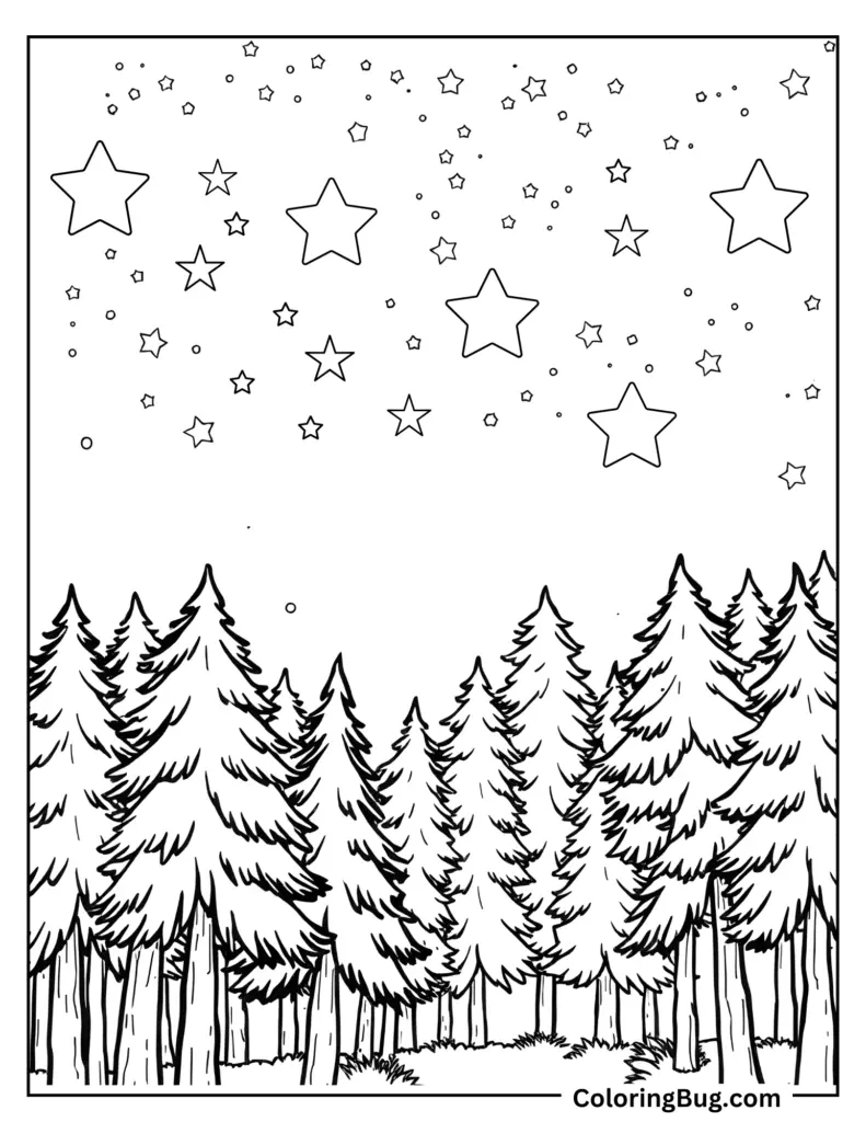 Winter forest with stars above pine trees