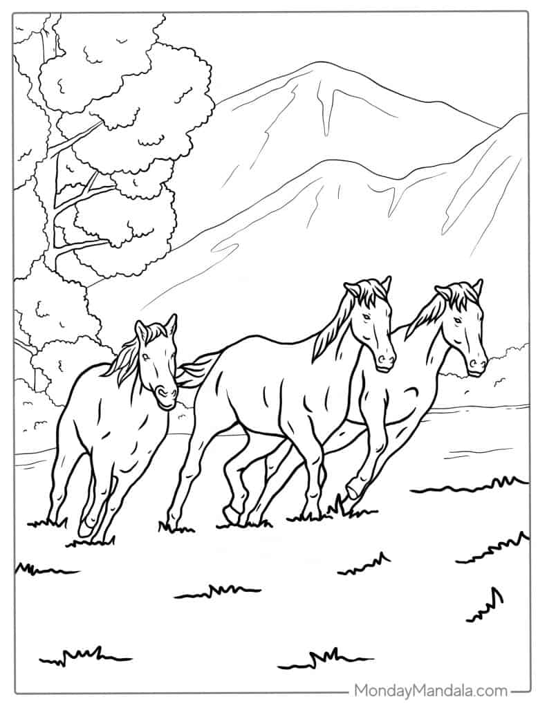 Three horses standing in a mountain meadow
