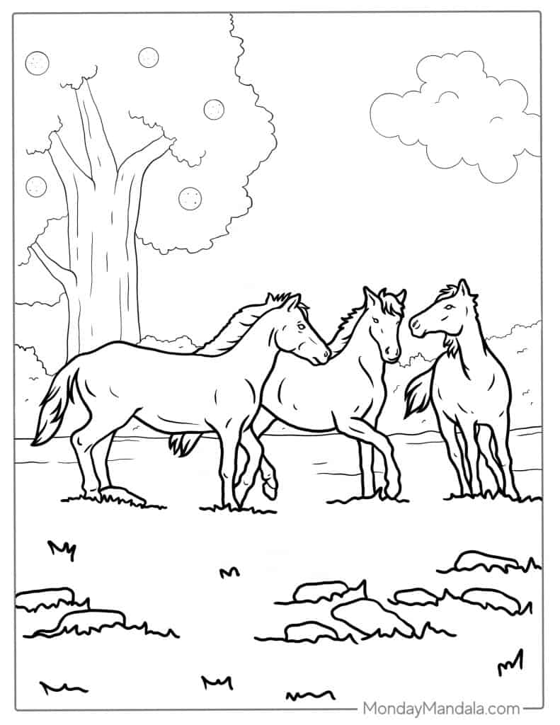 Three horses standing in a tree-lined field