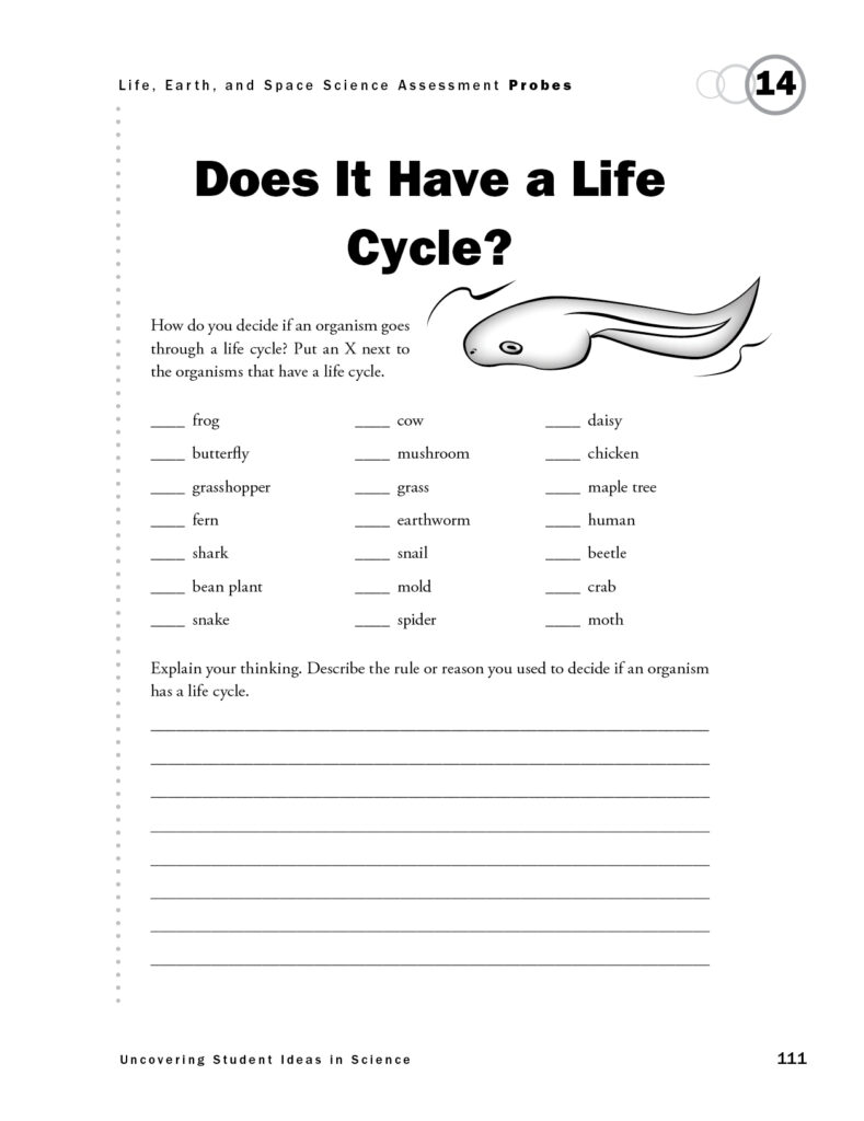 Science worksheet page titled “Does It Have a Life Cycle?
