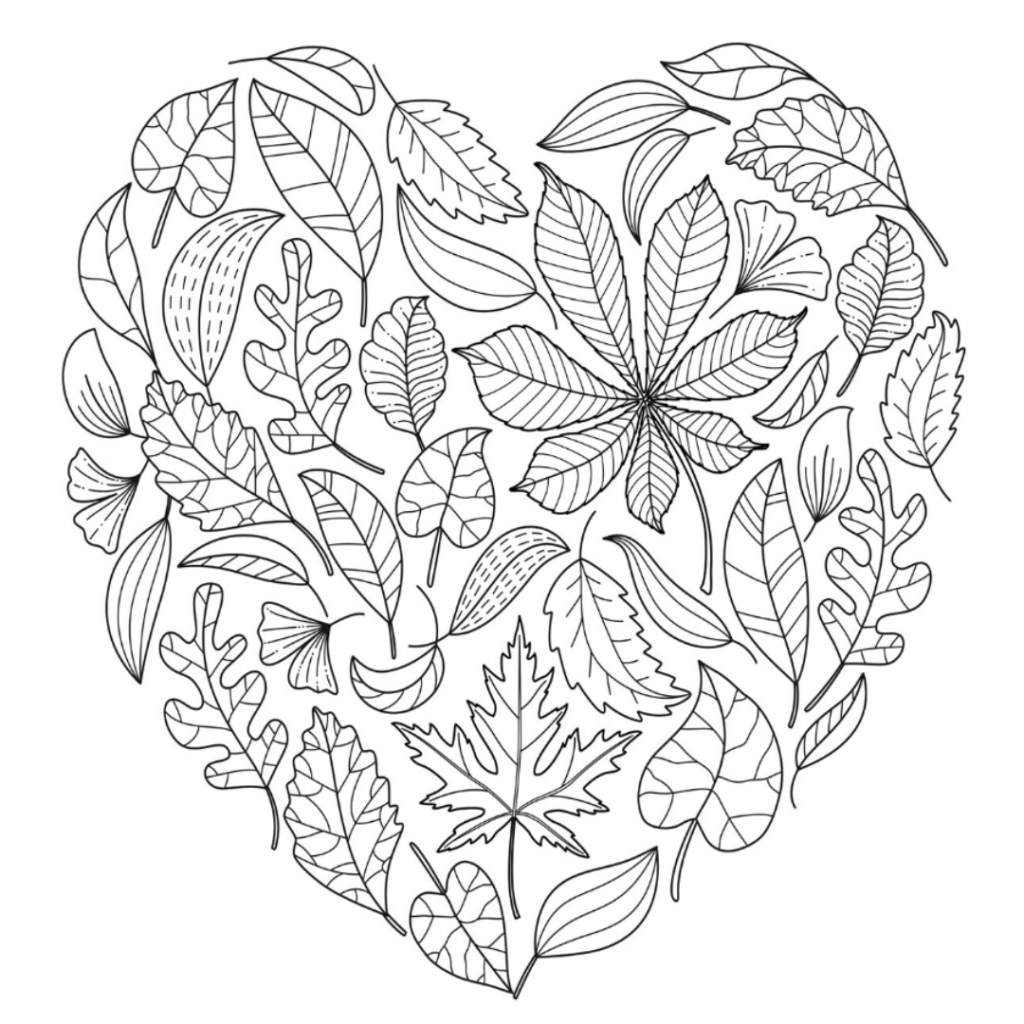 Heart shape made of outlined leaves and foliage