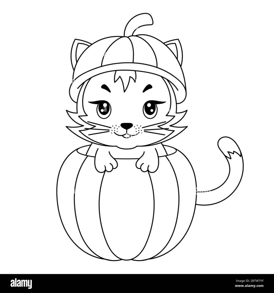 Cartoon cat sitting in a pumpkin hat