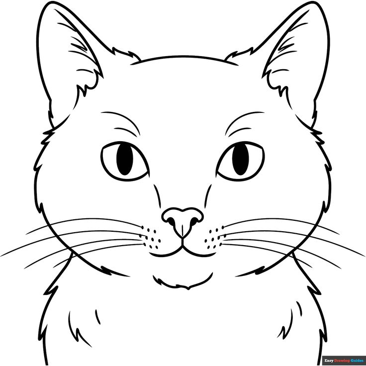 Black-and-white line drawing of a cat face