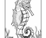 Black-and-white seahorse illustration with coral and seaweed