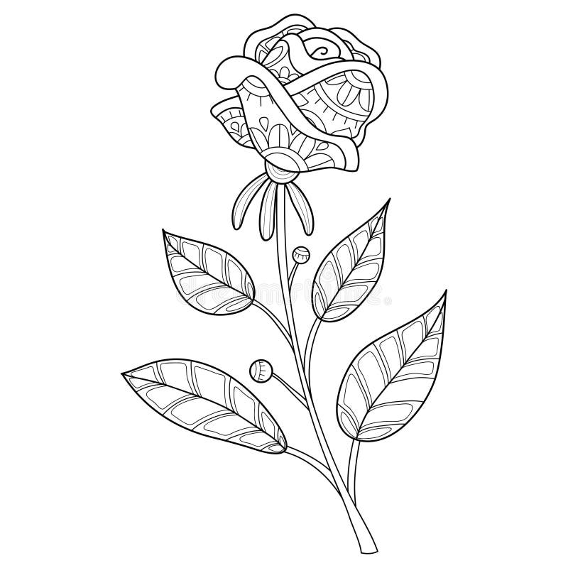 Black-and-white line drawing of a single rose stem