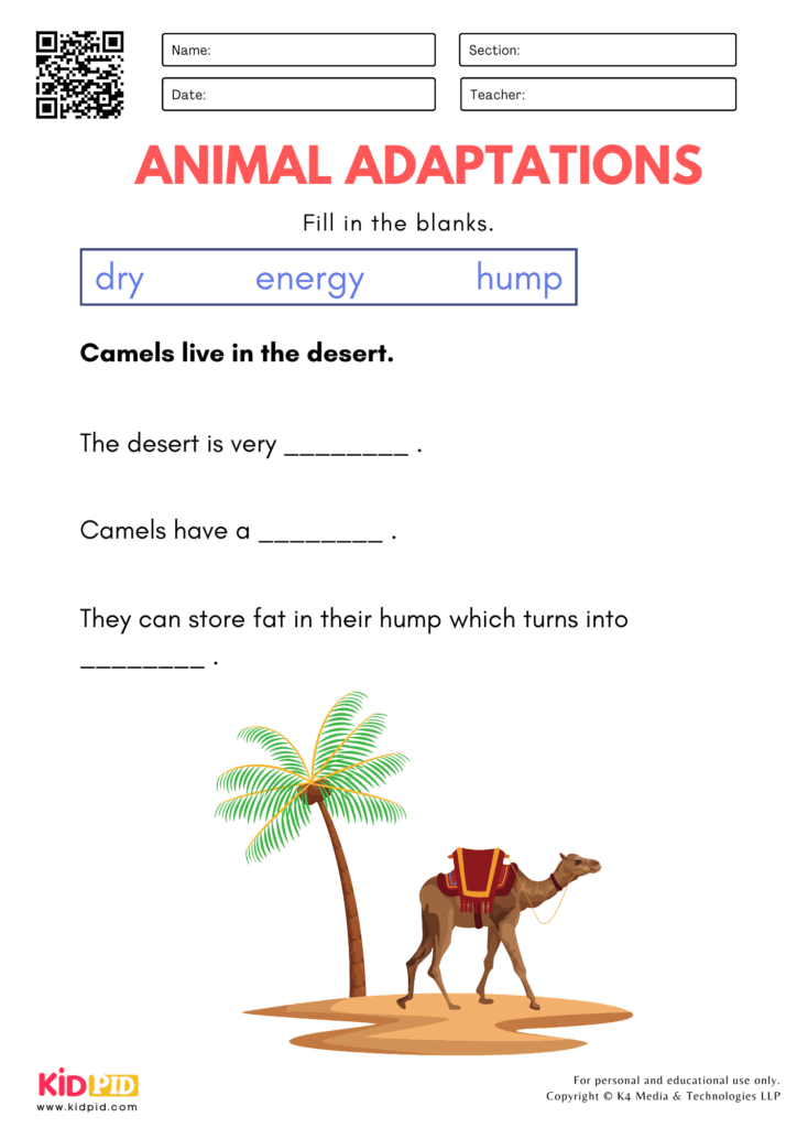 Animal adaptations worksheet with camel illustration and fill-in blanks