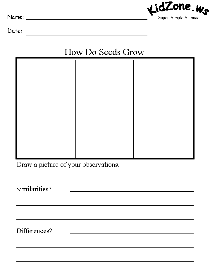 Blank science worksheet titled How Do Seeds Grow