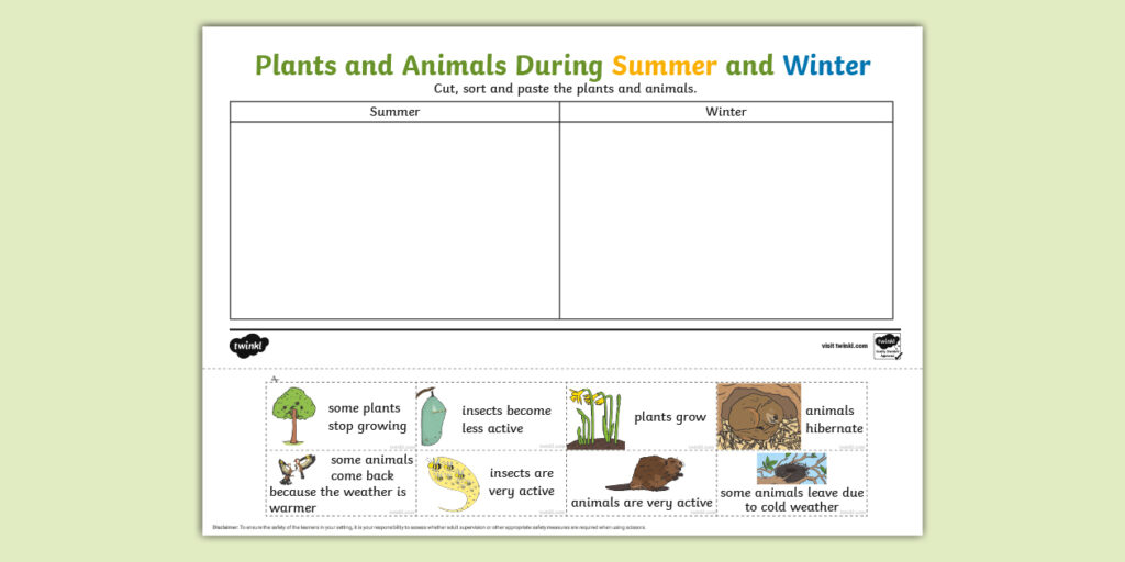 Plants and Animals During Summer and Winter worksheet