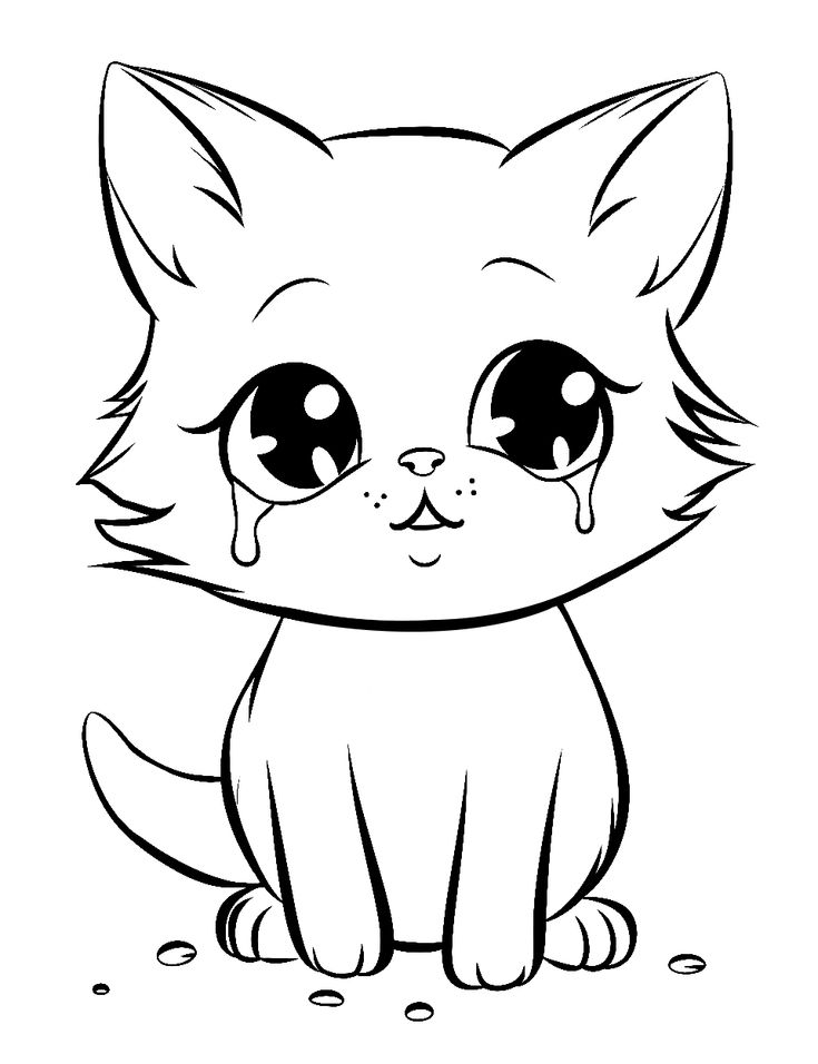 Cute crying kitten line drawing on white background