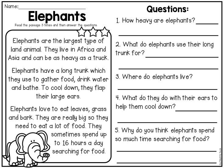 Elephants reading passage worksheet with questions and cartoon elephant