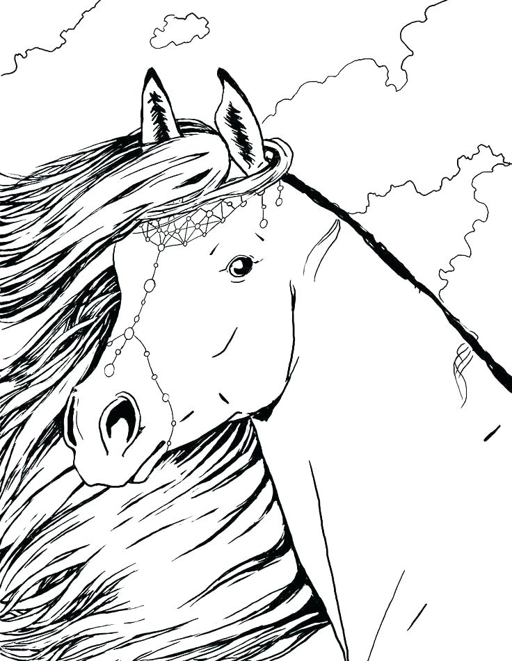 Black-and-white drawing of a horse head with flowing mane