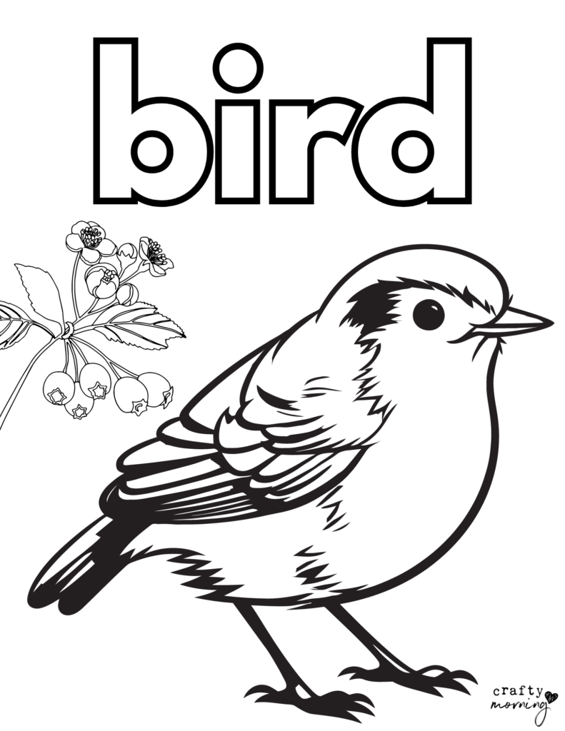 Bird coloring page with flowers and berries