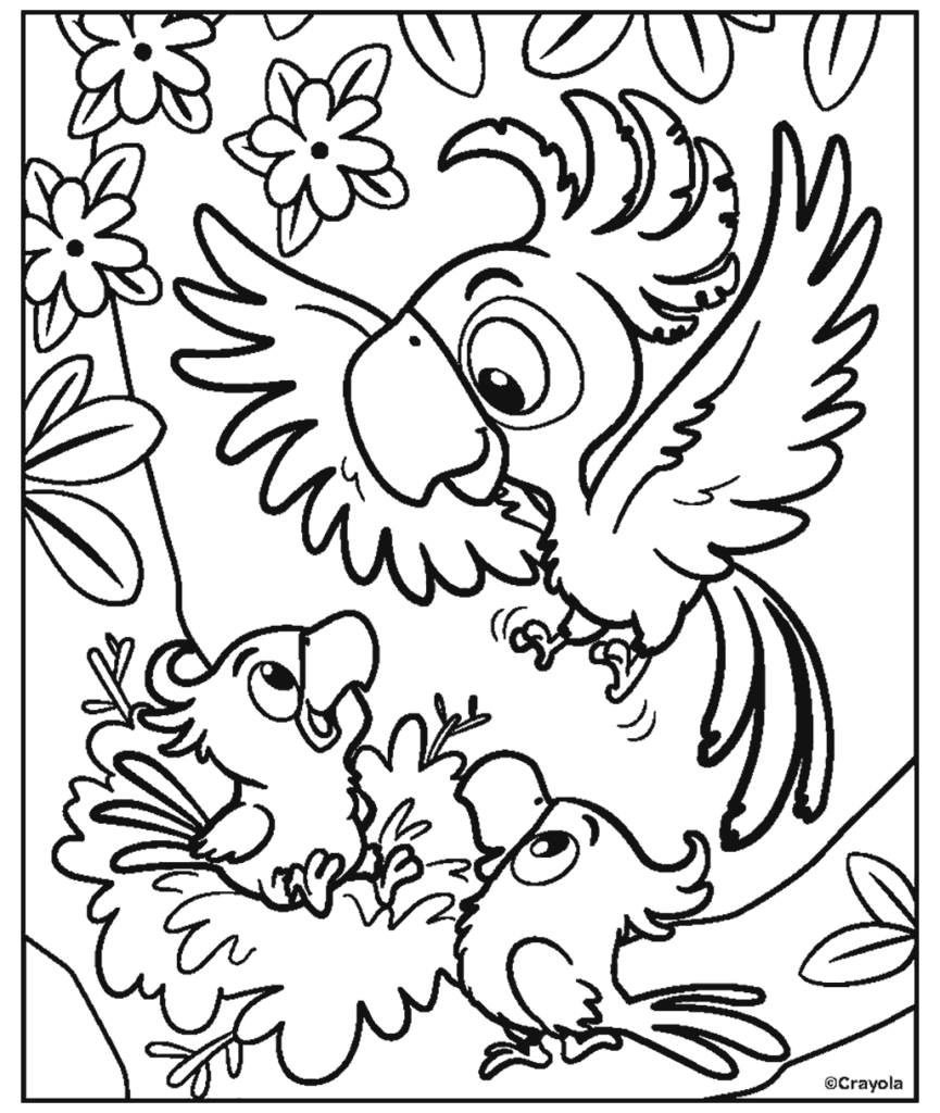 Black-and-white coloring page with four parrots among flowers and leaves
