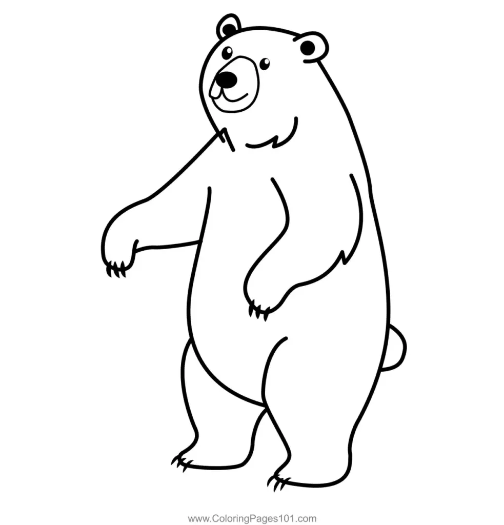 Standing cartoon bear outline on white background