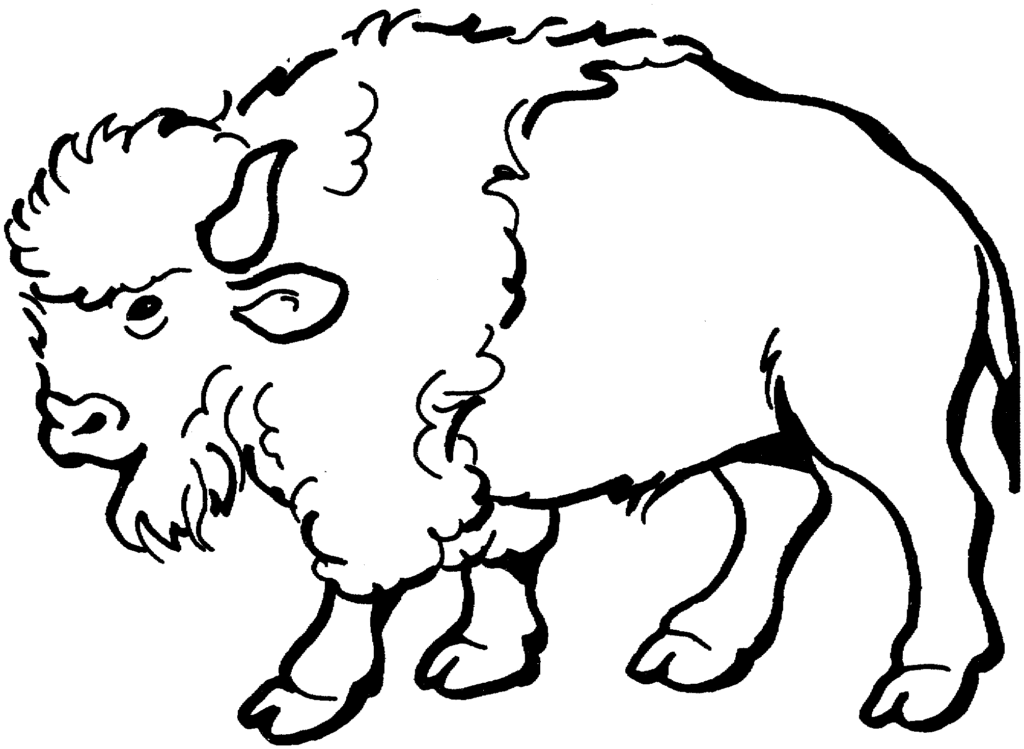 Black-and-white line drawing of a fluffy bison standing sideways
