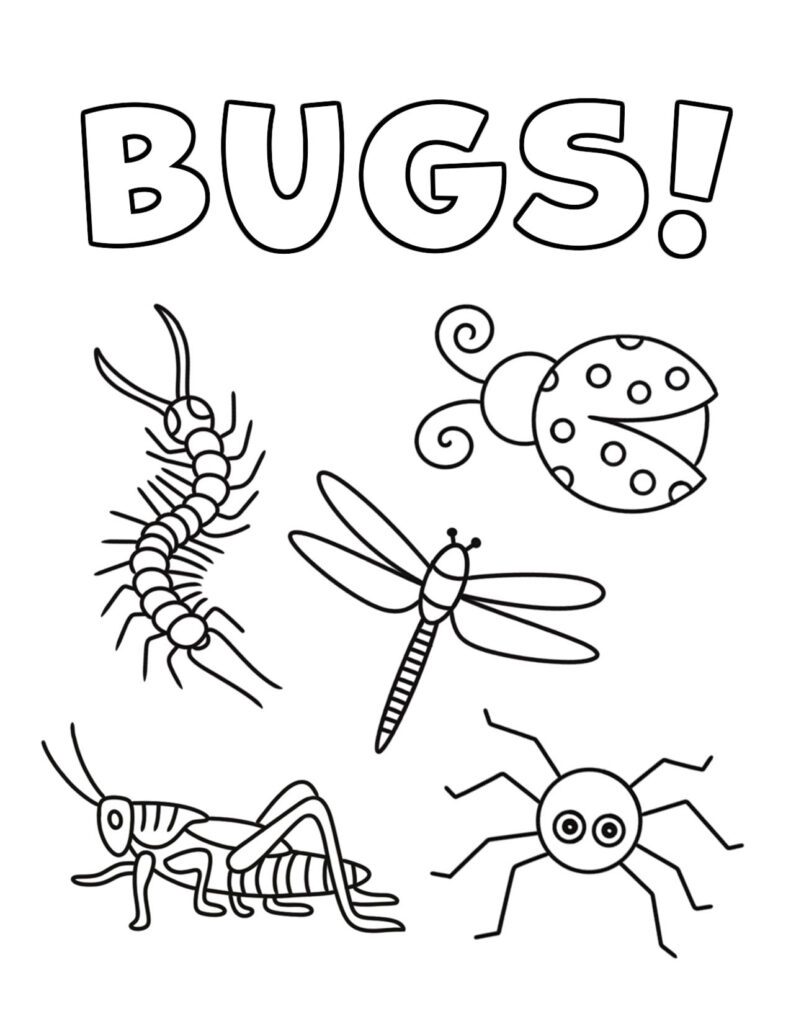 Black-and-white bug coloring page with five insects