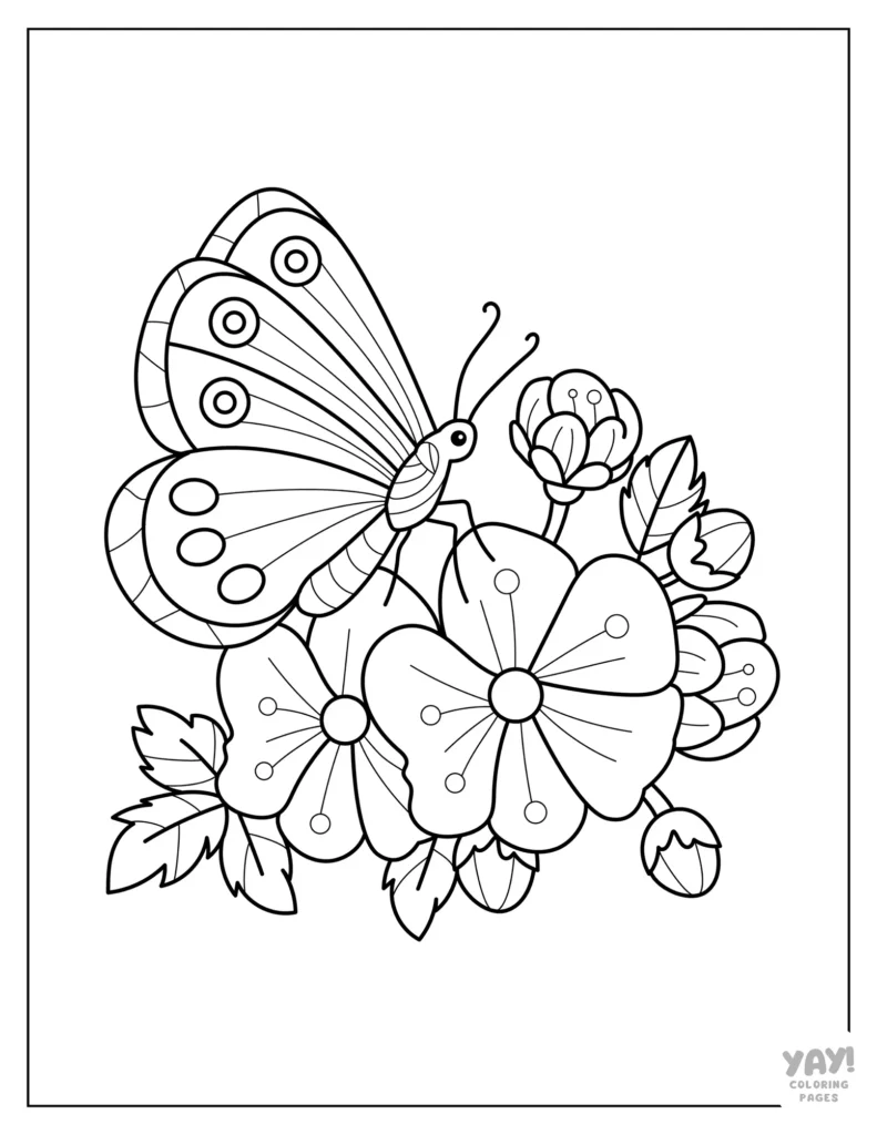 Butterfly hovering above outlined flowers and leaves