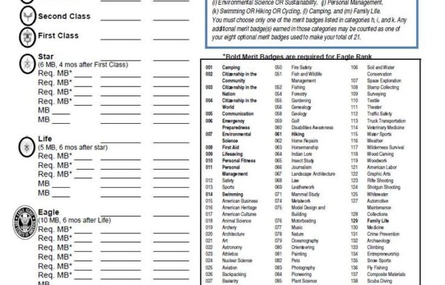 Scouting goals and tracking sheet with rank and merit badge lists