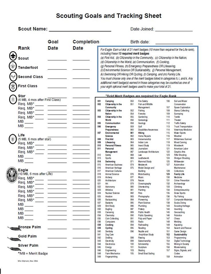 Scouting goals and tracking sheet with rank and merit badge lists