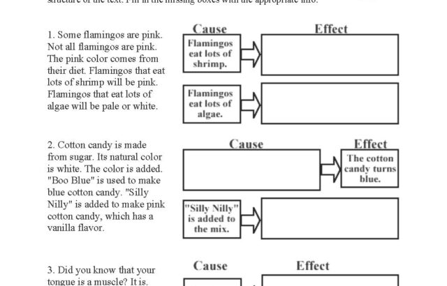 Black-and-white cause and effect worksheet page with flamingo drawing