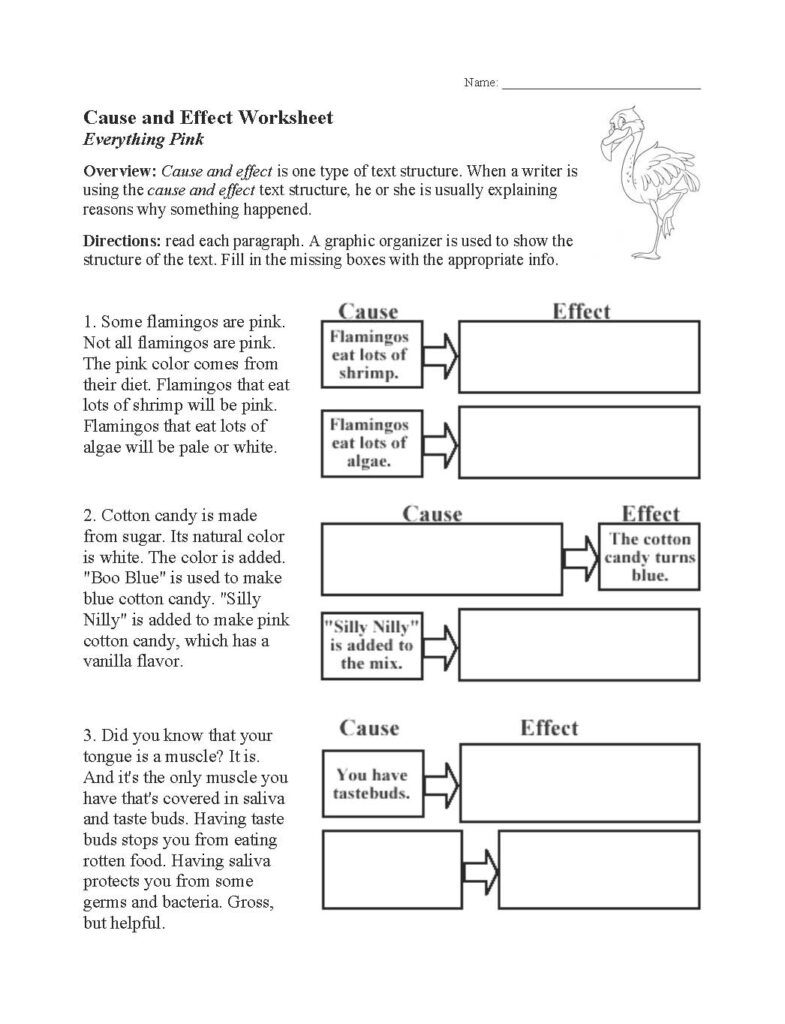 Black-and-white cause and effect worksheet page with flamingo drawing