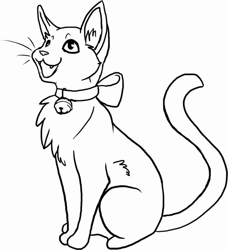 Line drawing of a sitting cat with collar and bell