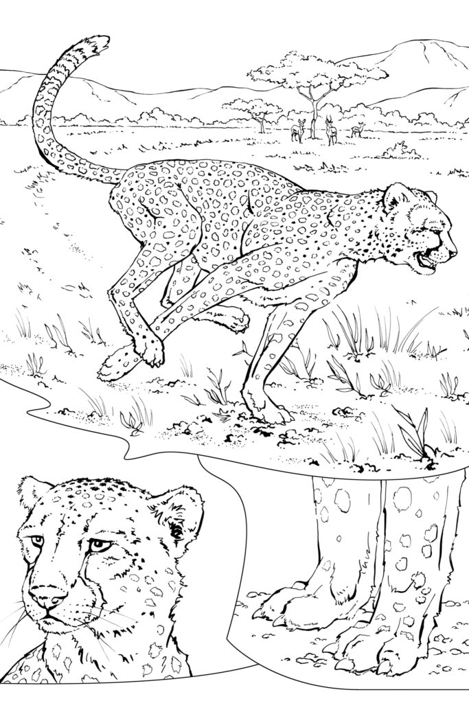 Black-and-white cheetah coloring page with savanna background