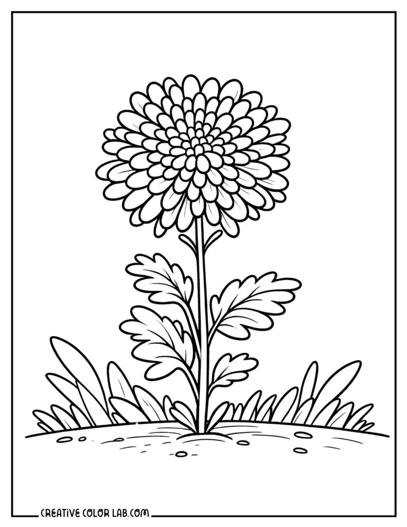 Black-and-white flower coloring page with grass border