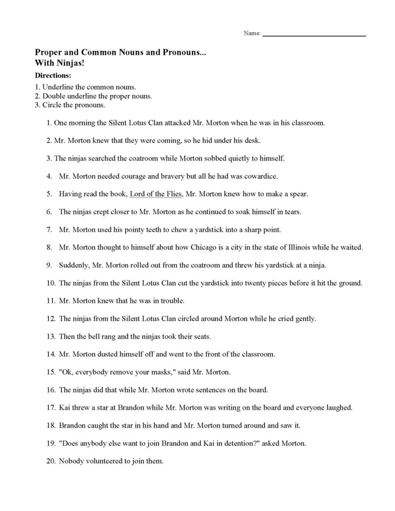 Grammar worksheet about proper and common nouns and pronouns