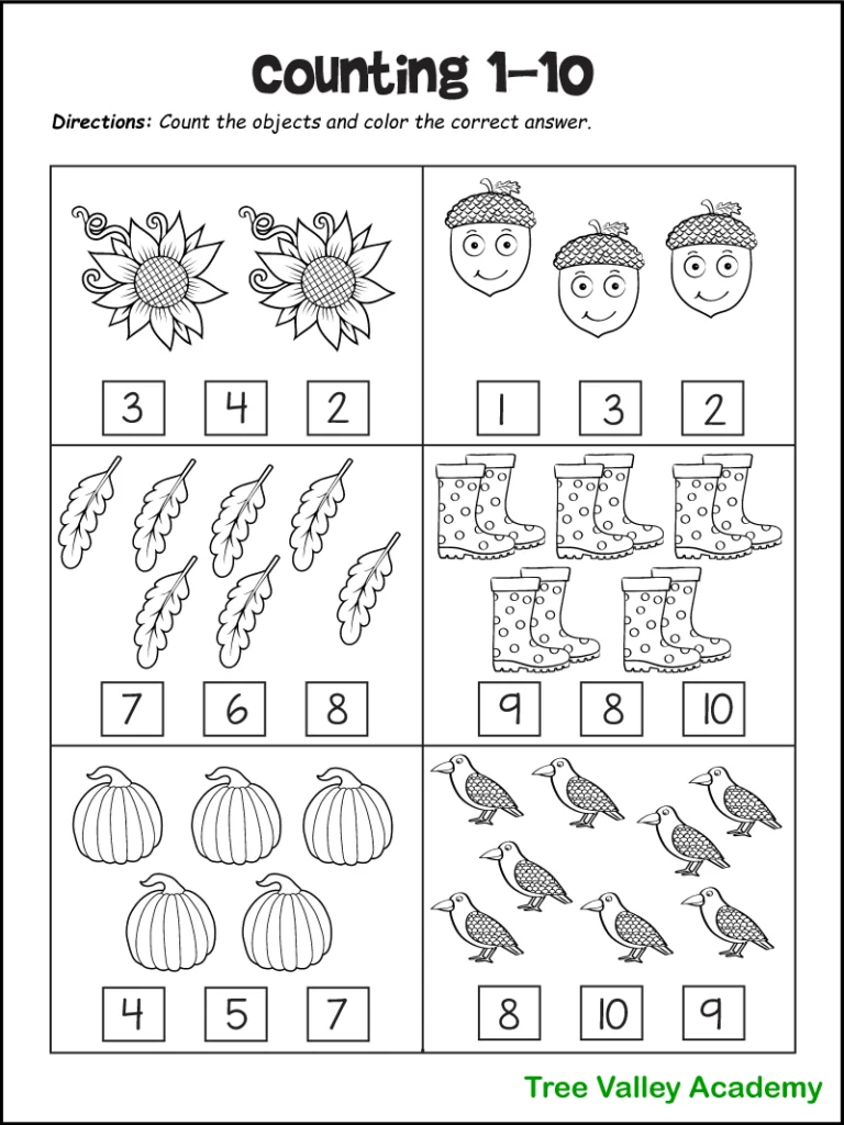 Counting worksheet with flowers, acorns, feathers, boots, pumpkins, birds