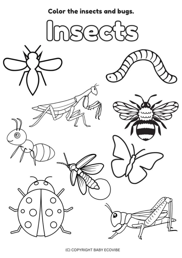 Insect coloring page with various outlined bugs