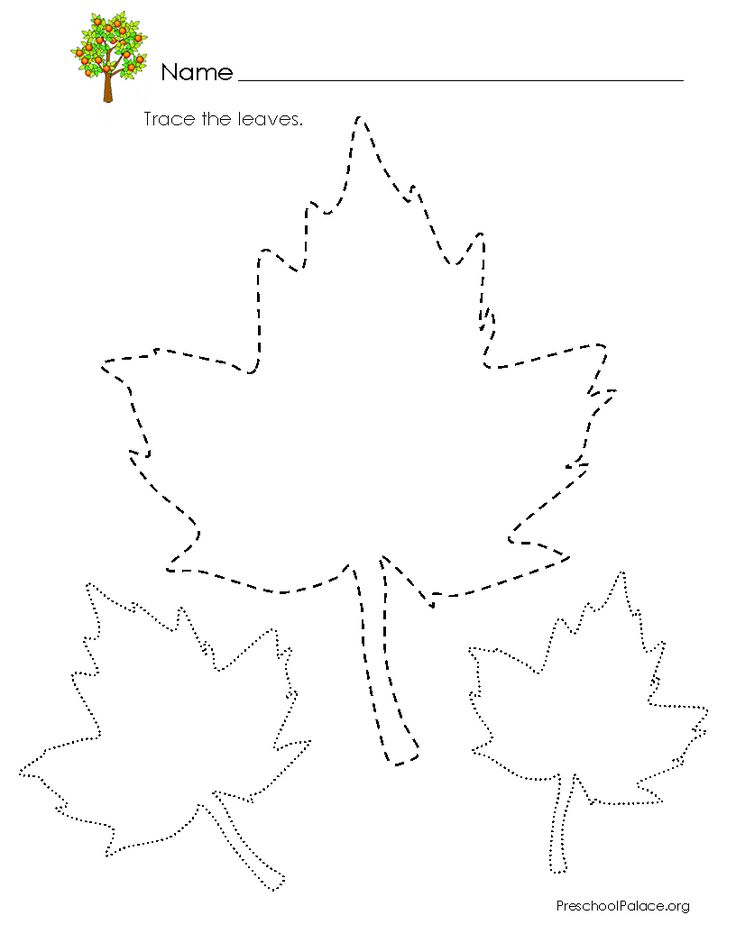 Leaf tracing worksheet with three outlined leaves