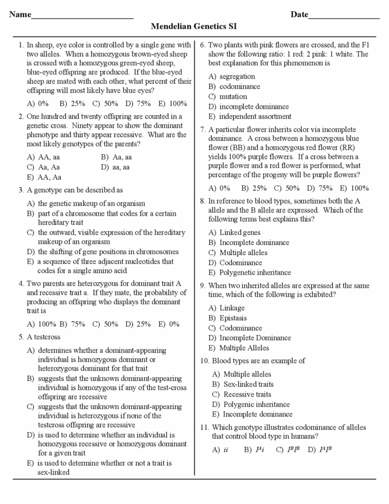 Mendelian genetics worksheet with numbered multiple-choice questions