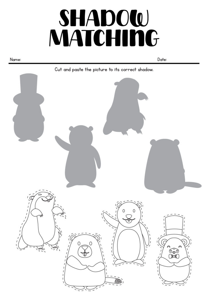 Shadow matching worksheet with bear and animal silhouettes