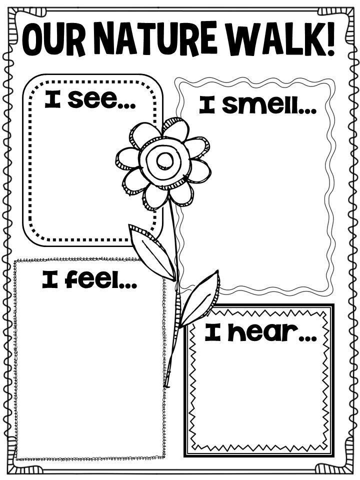 Nature walk worksheet with four labeled boxes and flower