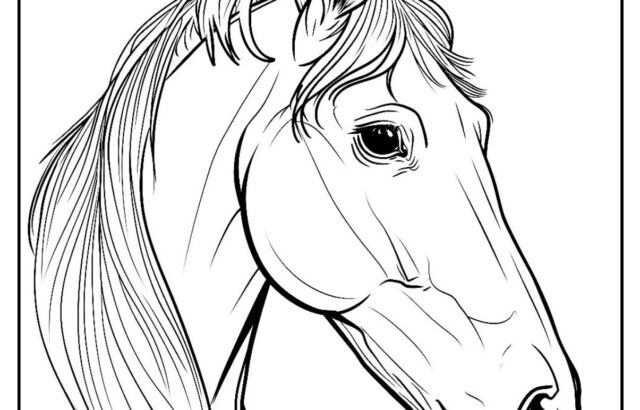 Black and white horse head line drawing